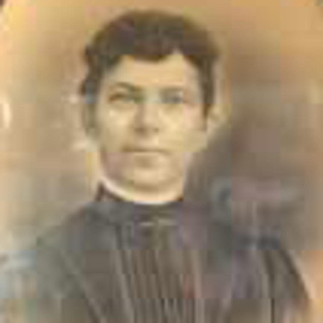 Amelia Jane Tristram (1852 - 1905) Profile